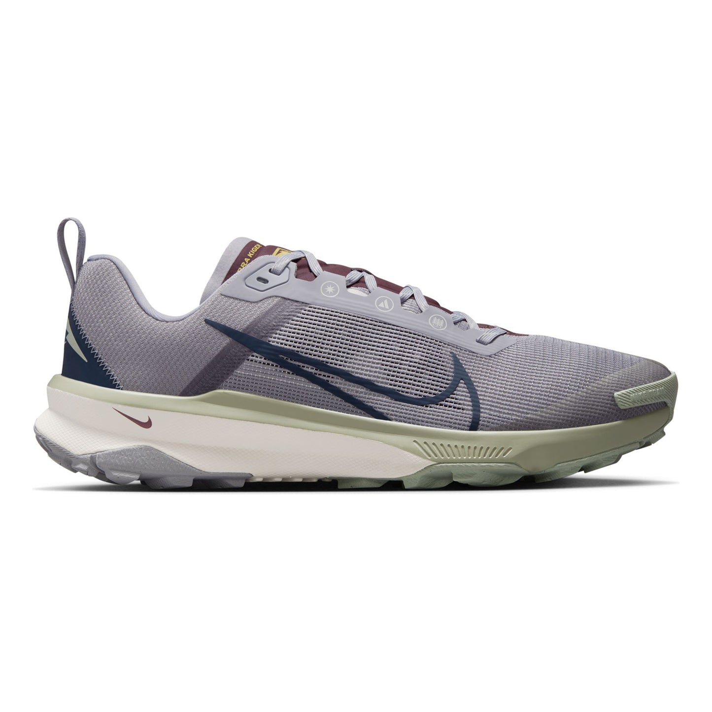 Nike Terra Kiger 9 Zapatilla trail Hombres - gris, multicolor