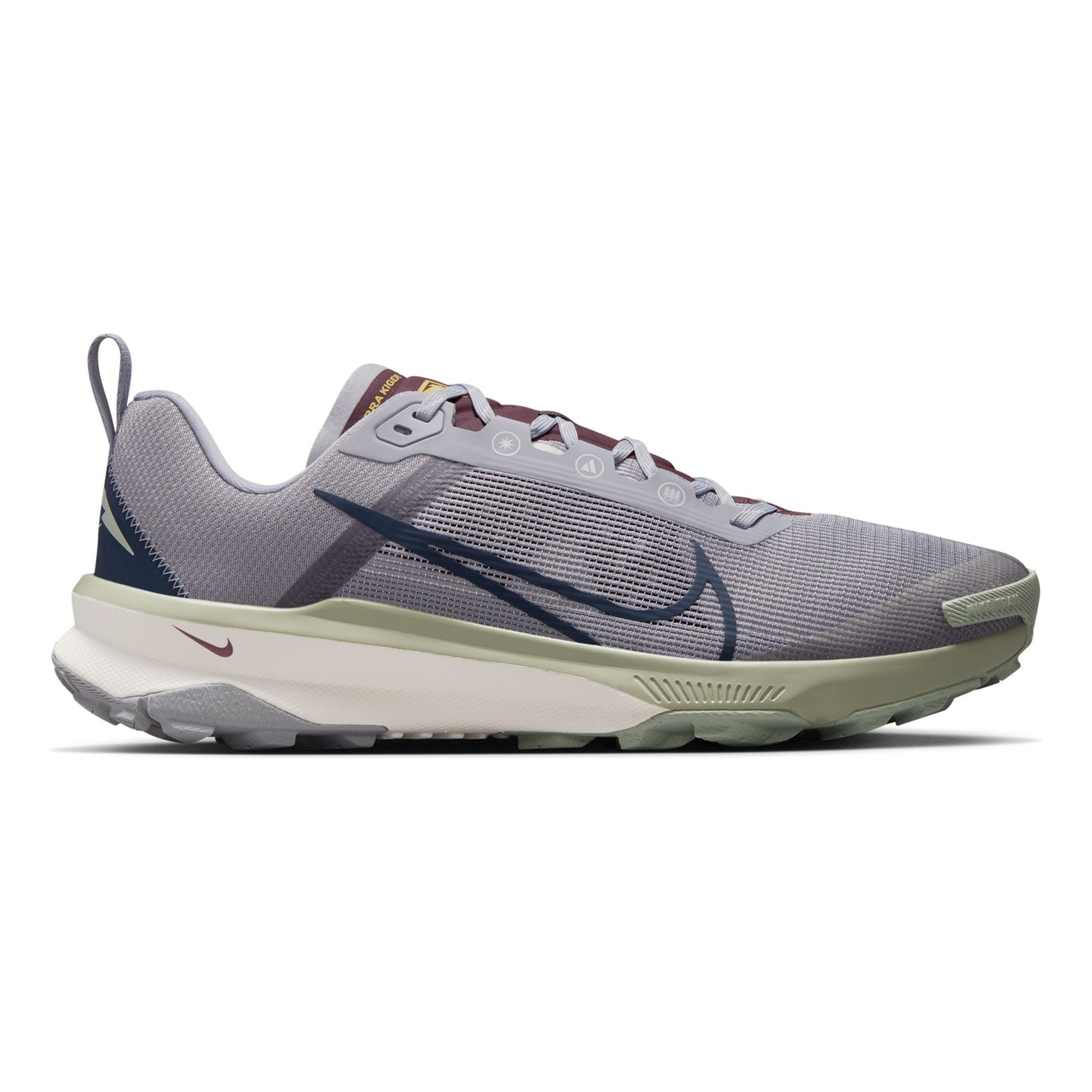 Nike Terra Kiger 9 Zapatilla trail Hombres - gris, multicolor