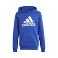 Big Logo Cotton Sudadera con capucha Chicos - azul, blanco