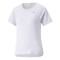 morado_6312