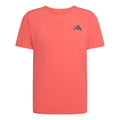 rojo_5692