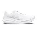 Vanish Tempo 2 Zapatilla de competición Hombres - blanco, plateado