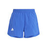 Teamwear Pantalones Cortos Niños-Azul