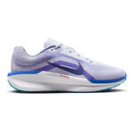 Zapatillas Para Correr Nike Winflo 11