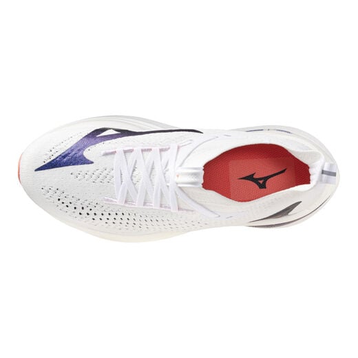 Mizuno