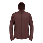 Ropa Odlo Odlo X-Alp Waterproof Chaqueta para correr Hombres-marrón