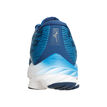Mizuno