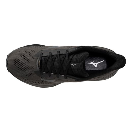 Mizuno