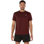 Ropa ASICS Core Shortsleeve