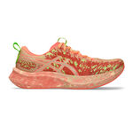 Zapatillas Para Correr ASICS Noosa Tri 16