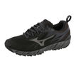 Mizuno