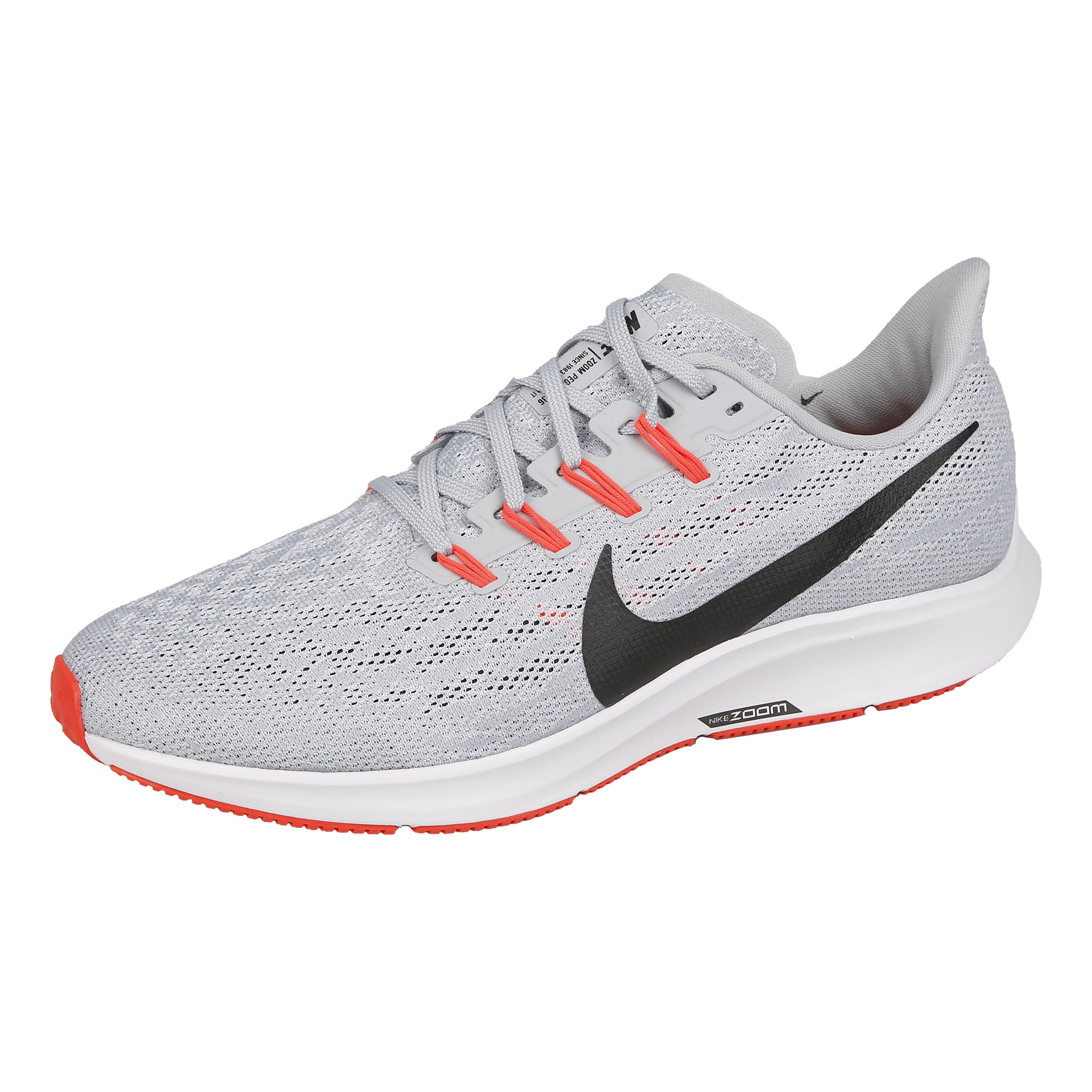 Comprar pegasus 36 2025