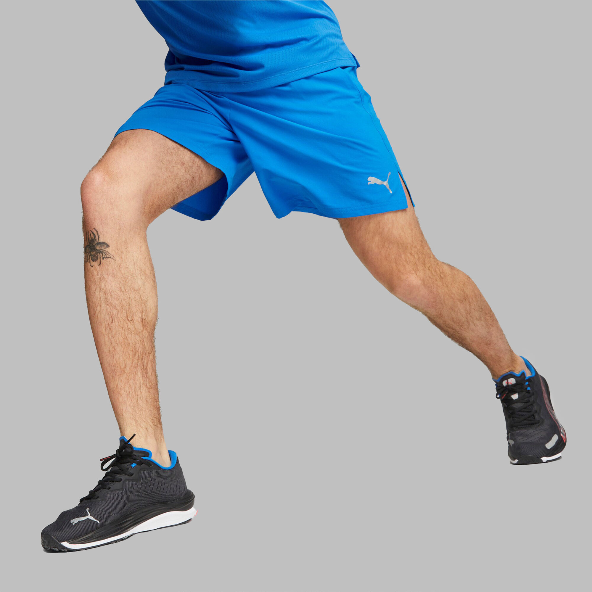 Puma