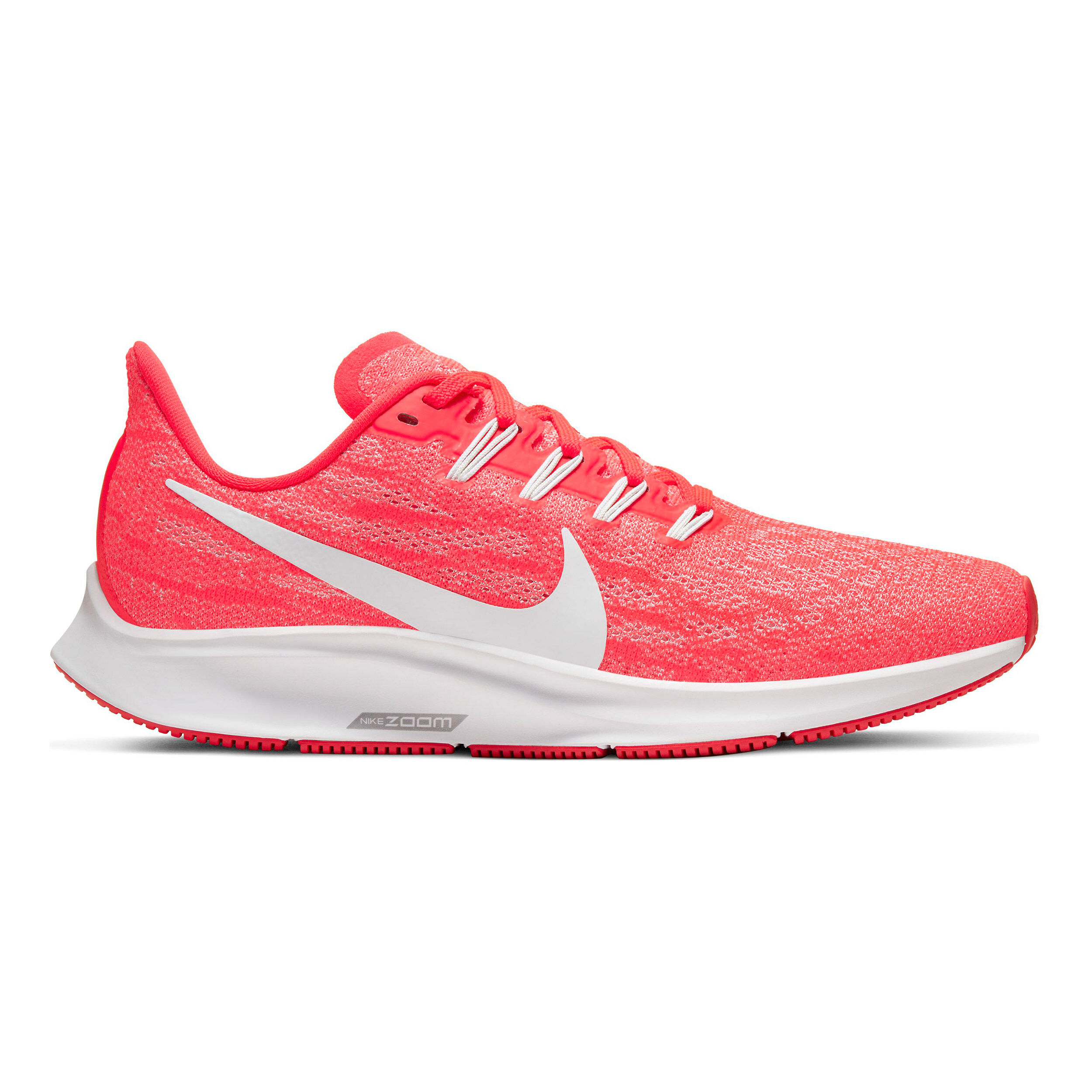 Pegasus 36 comprar outlet