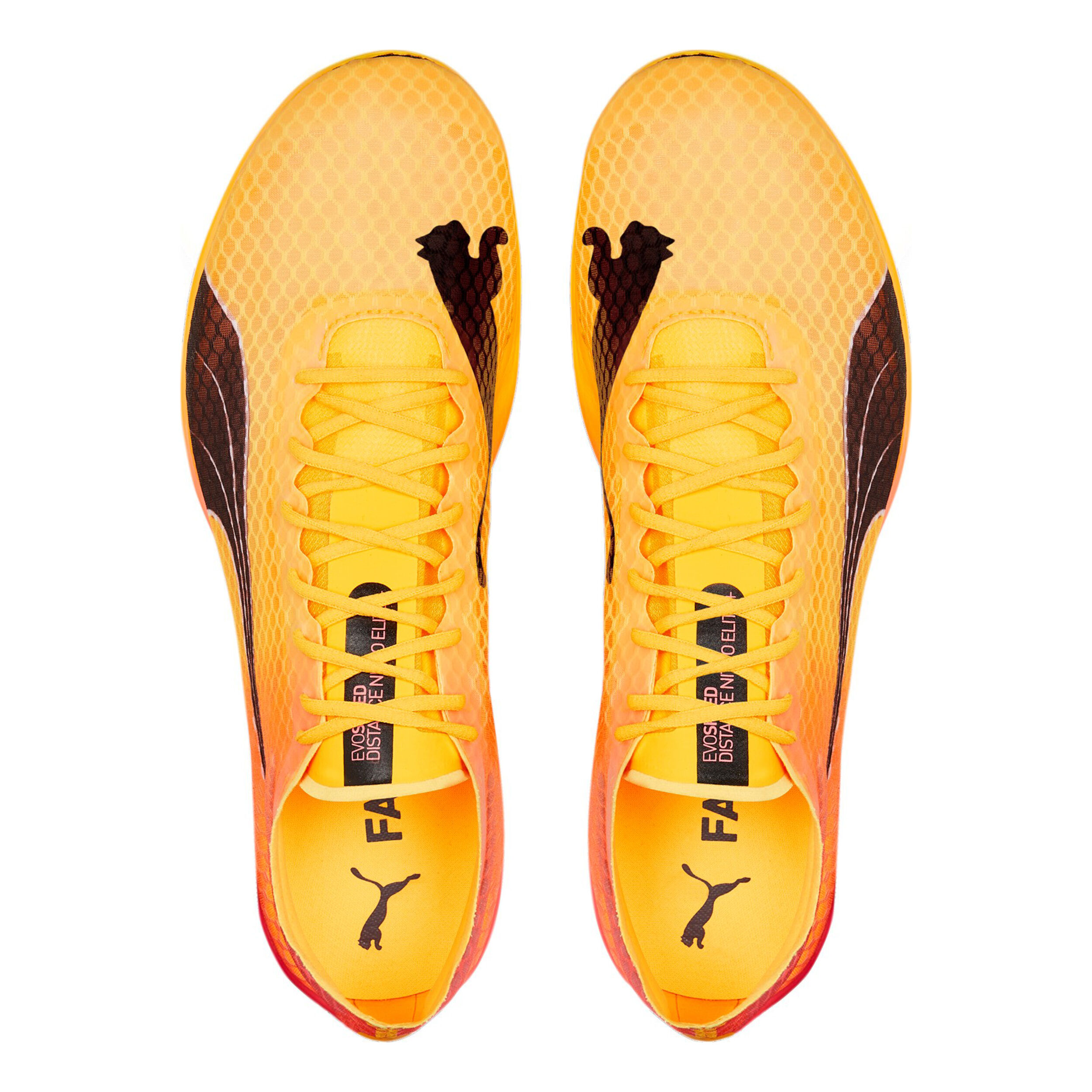 Comprar Puma EvoSPEED Distance Nitro Elite 2 Spikes Amarillo