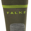Falke