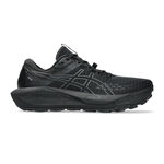 Zapatillas para correr ASICS ASICS Gel-Trabuco 13 GTX Zapatilla Trail Hombres-Negro,Gris Claro