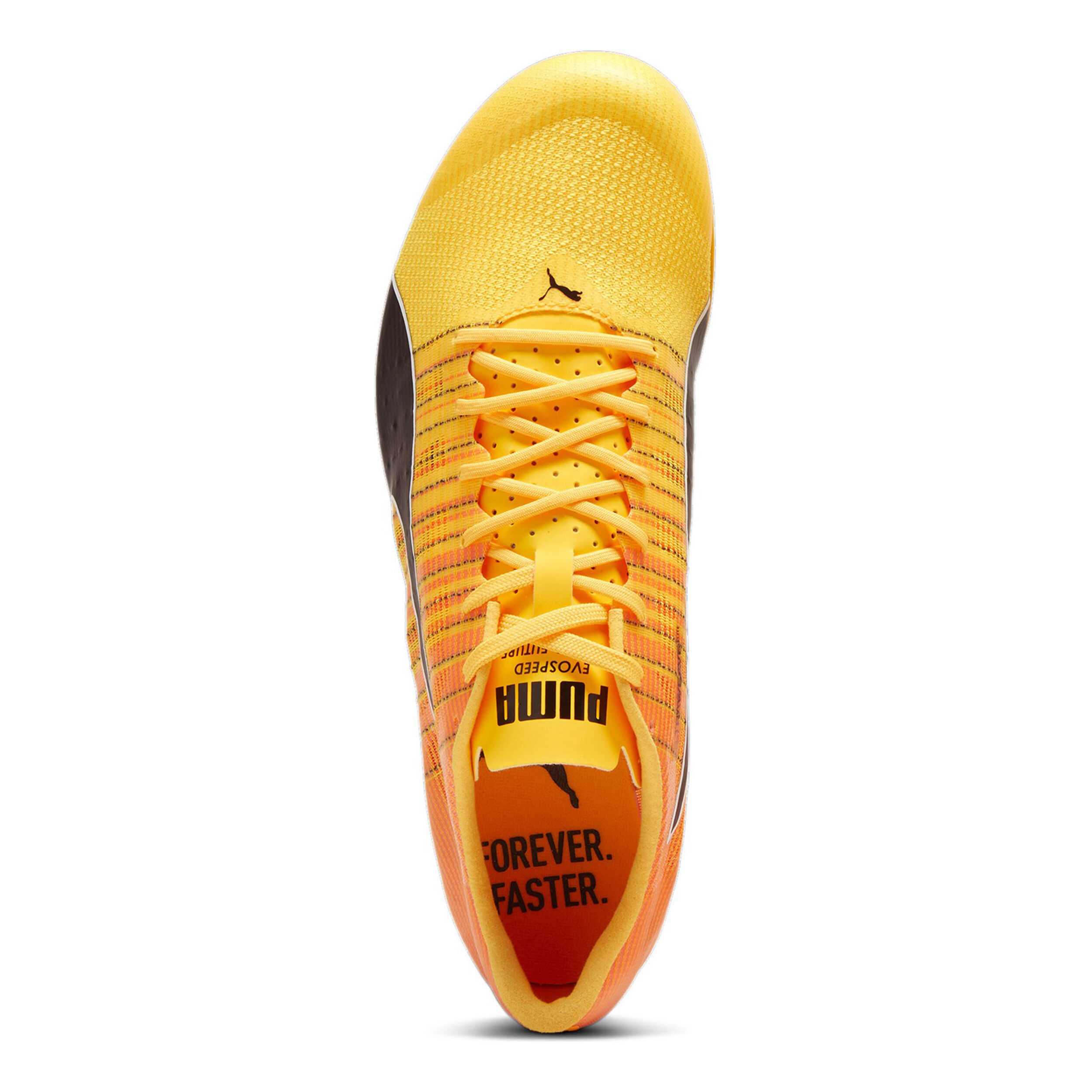 Comprar Puma EvoSPEED FUTURE 6 Spikes Amarillo Naranja online Running Point ES