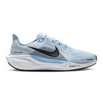 Zapatillas Para Correr Nike Pegasus 41