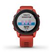 Garmin