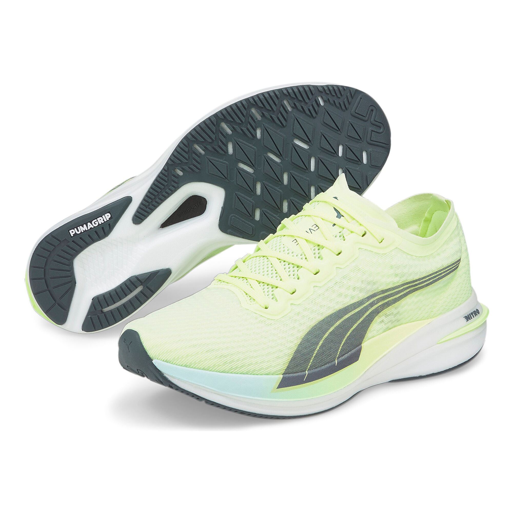 Puma