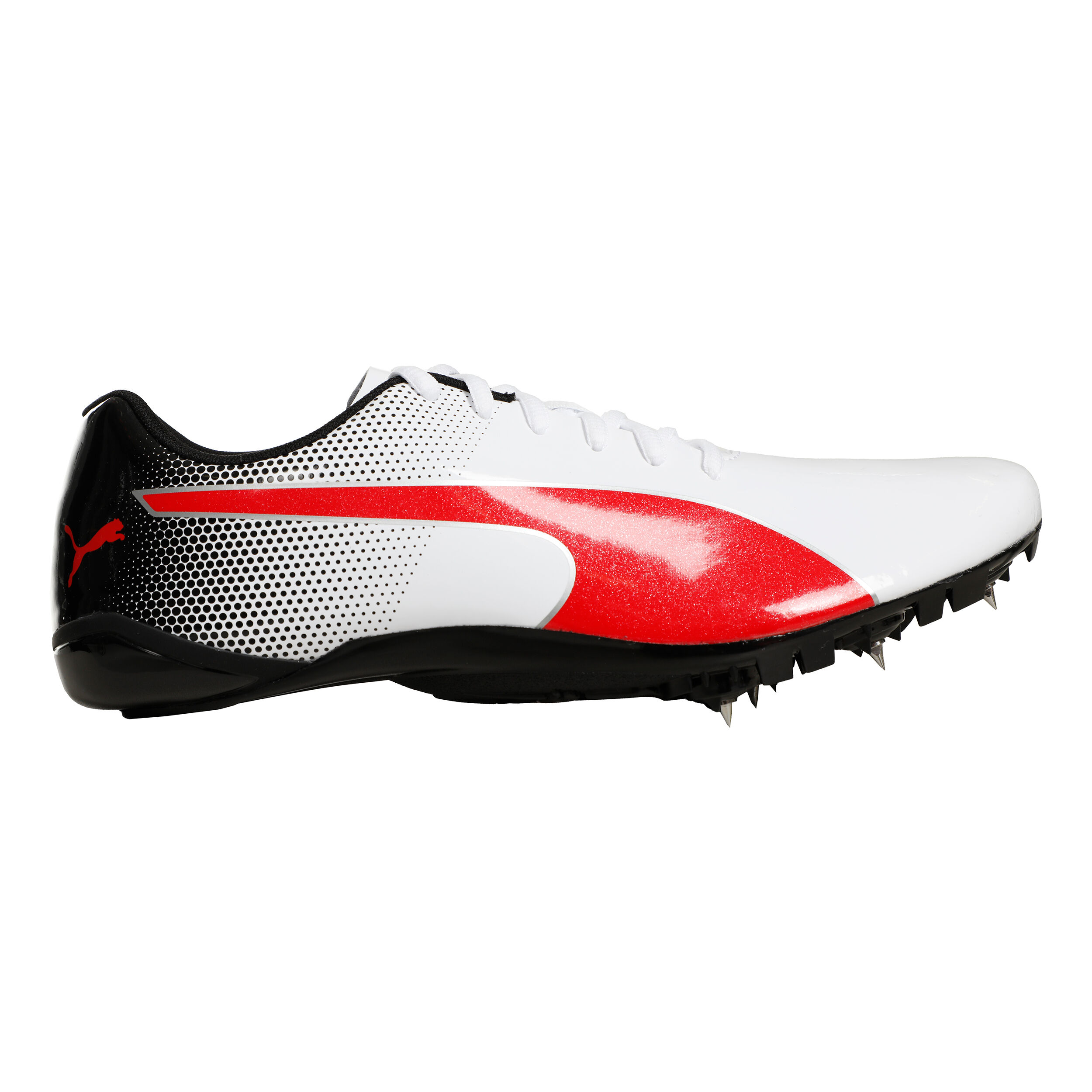 Comprar puma evospeed clearance