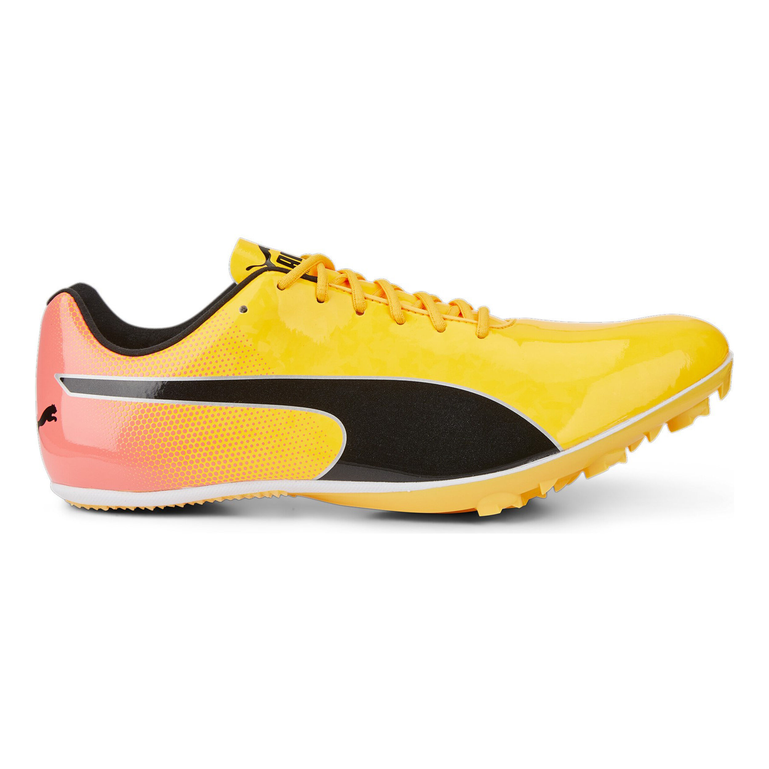 Comprar Puma EvoSPEED Sprint 14 Spikes Amarillo Naranja online Running Point ES